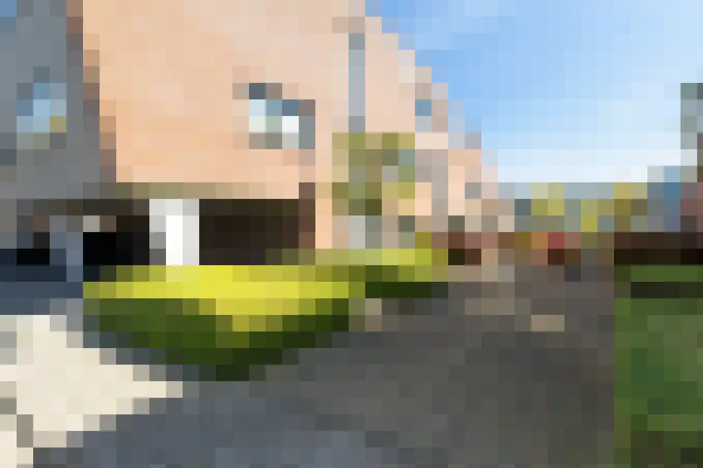 Varossieaupalet 71 Alphen aan den Rijn foto 2