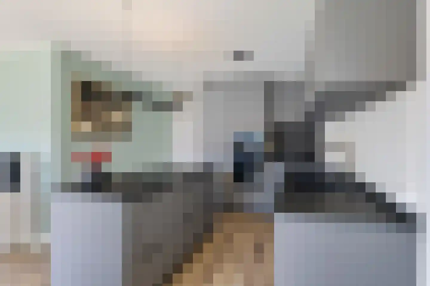 Varossieaupalet 71 Alphen aan den Rijn thumbnail 25