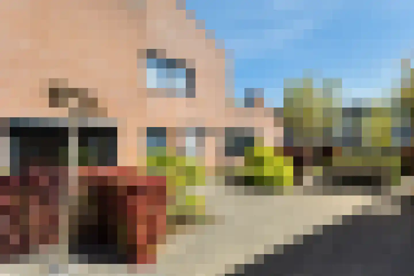 Varossieaupalet 71 Alphen aan den Rijn foto 3