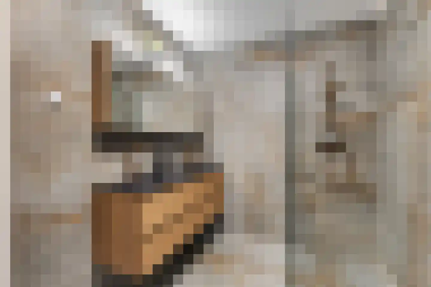Varossieaupalet 71 Alphen aan den Rijn thumbnail 32