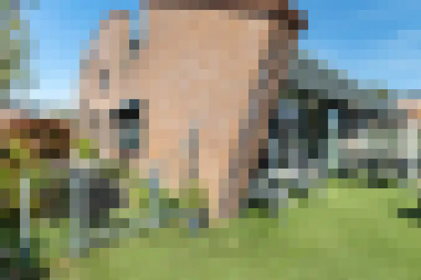 Varossieaupalet 71 Alphen aan den Rijn thumbnail 38