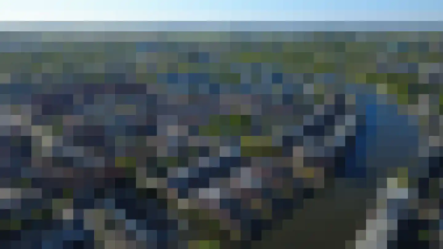 Varossieaupalet 71 Alphen aan den Rijn thumbnail 45
