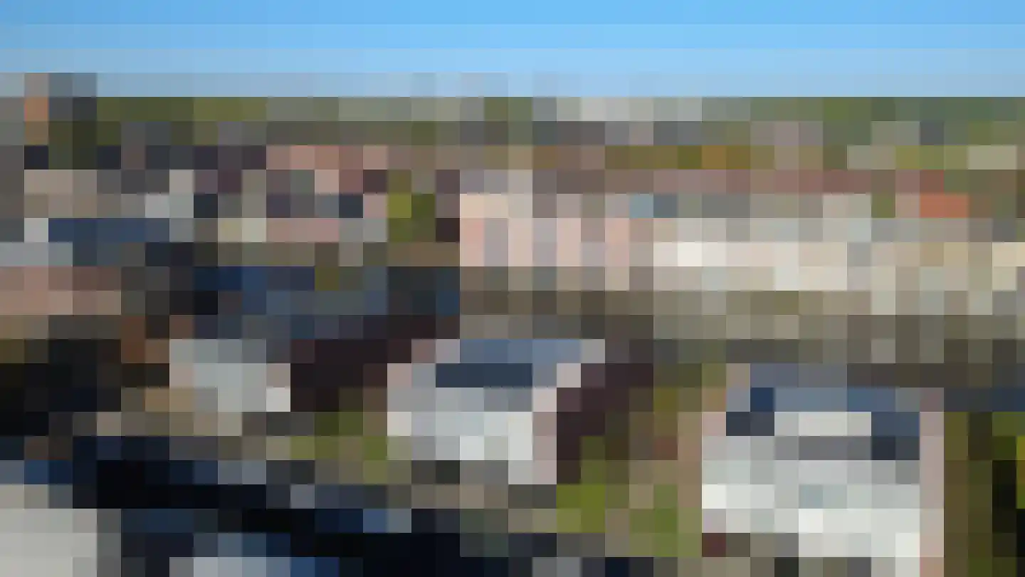 Varossieaupalet 71 Alphen aan den Rijn thumbnail 49