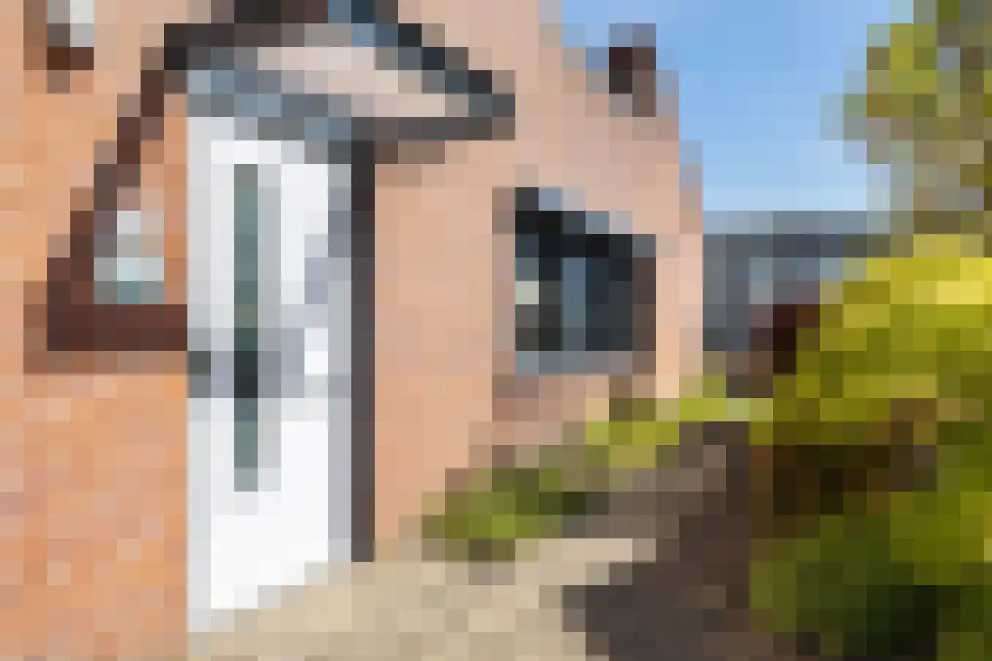 Varossieaupalet 71 Alphen aan den Rijn thumbnail 5