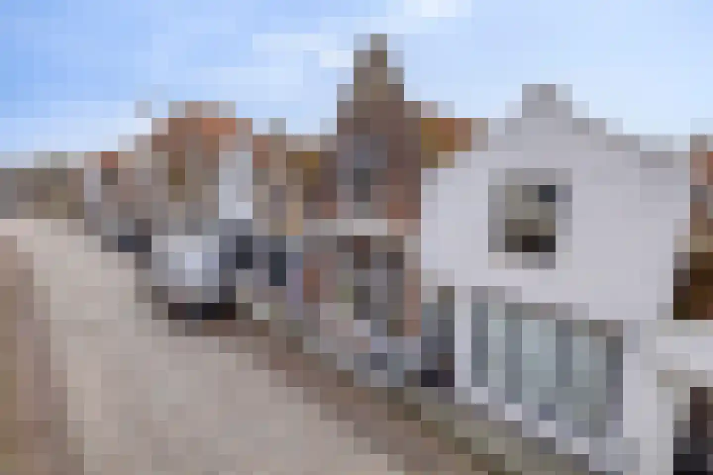 Varremarkt 17 Zierikzee