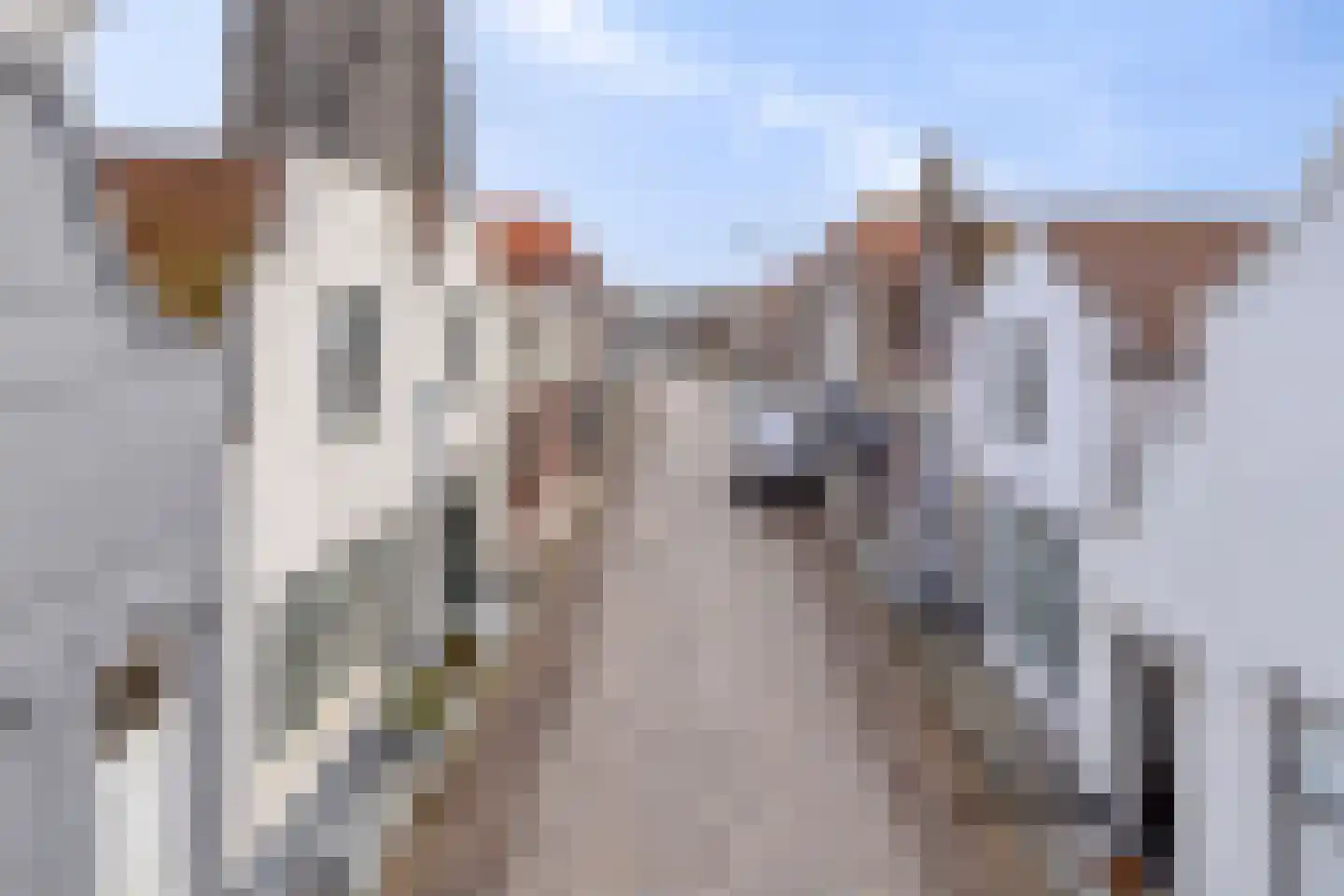 Varremarkt 17 Zierikzee thumbnail 21