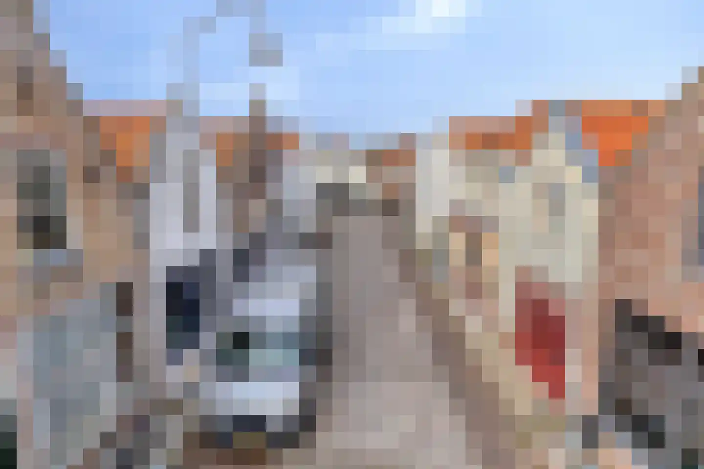 Varremarkt 17 Zierikzee thumbnail 24