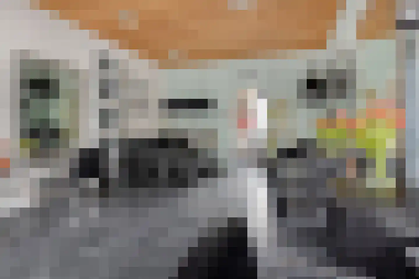 Varremarkt 17 Zierikzee thumbnail 8
