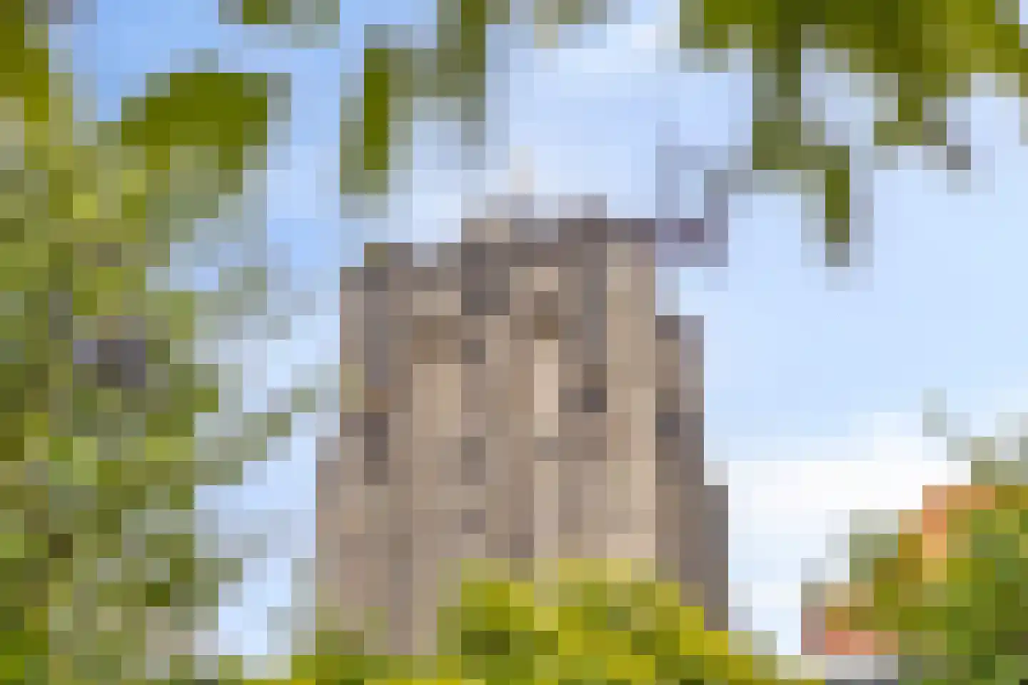 Varremarkt 22 Zierikzee thumbnail 33