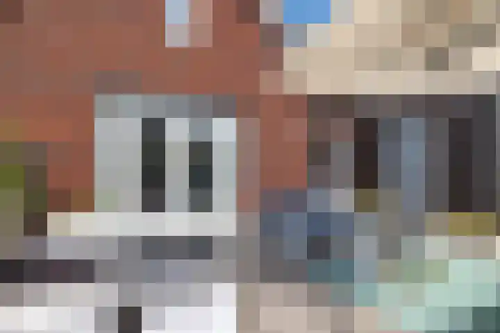 Varsenerstraat 20 Ommen thumbnail 38