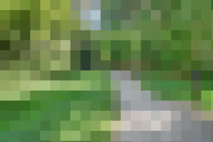 Varshaak 16 Best thumbnail 37