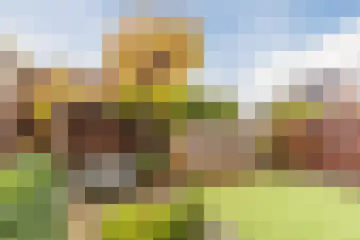 Varshaak 16 Best thumbnail 48