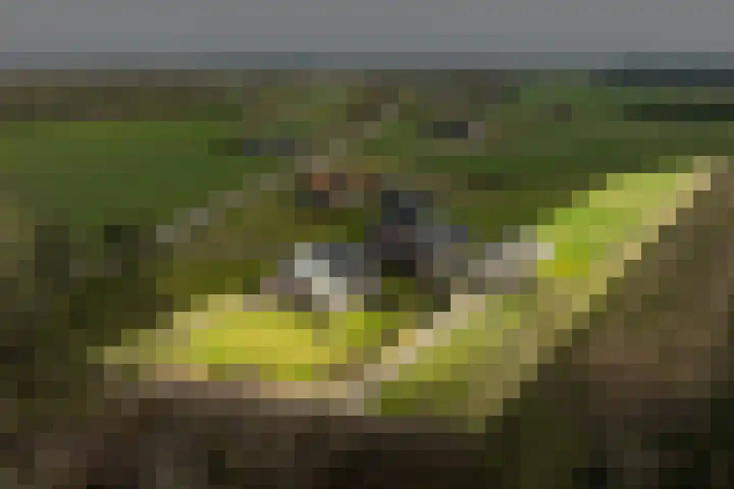 Varsselseweg 16 Hengelo (Gld) thumbnail 4