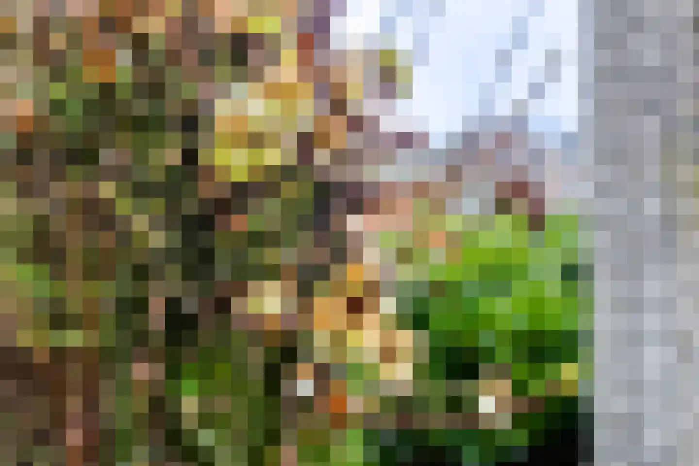 Varsseveldsestraatweg 29 A Aalten thumbnail 35