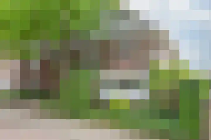 Varsseveldseweg 126 Doetinchem thumbnail 101