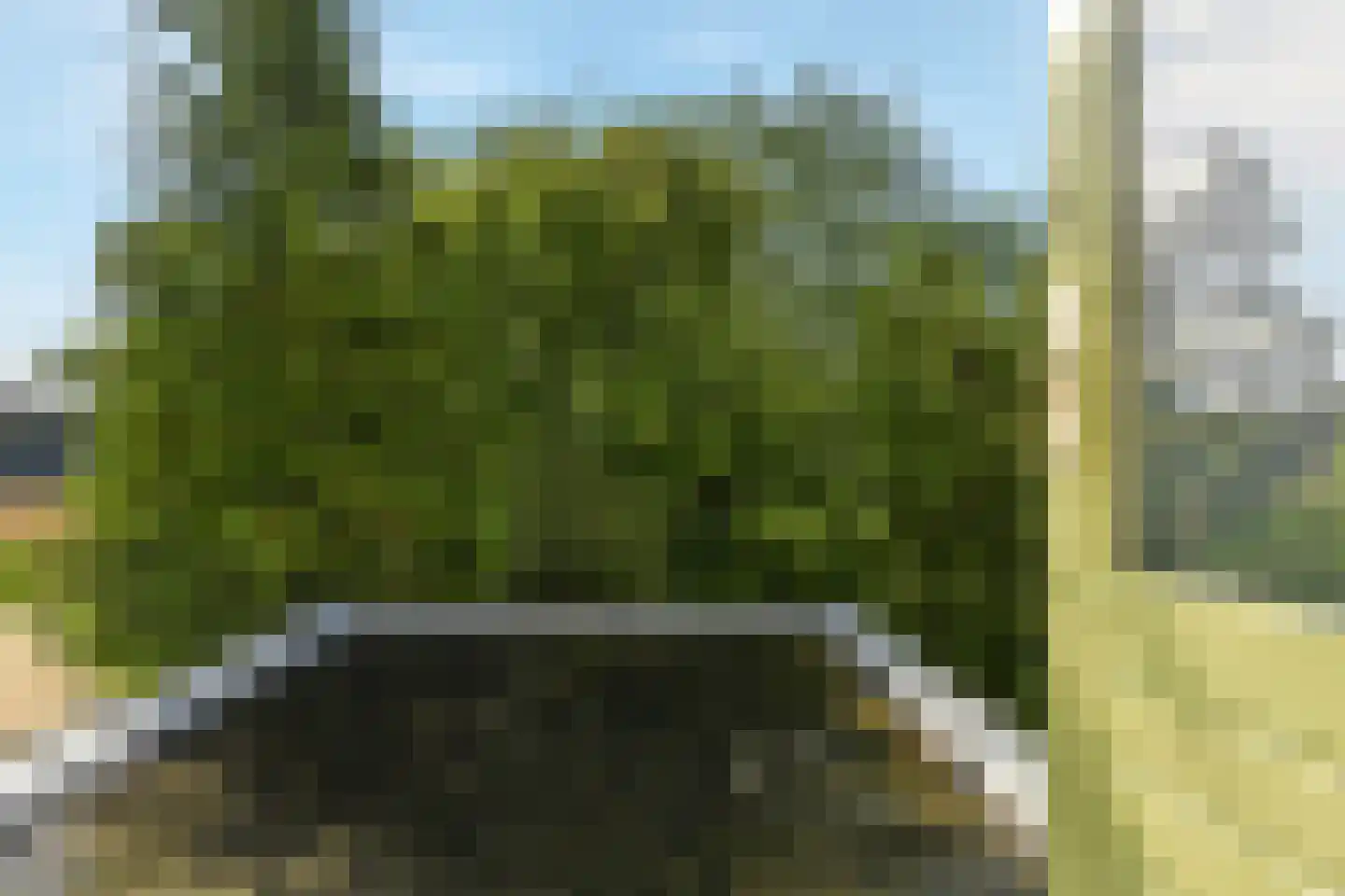 Varsseveldseweg 178 Doetinchem thumbnail 35