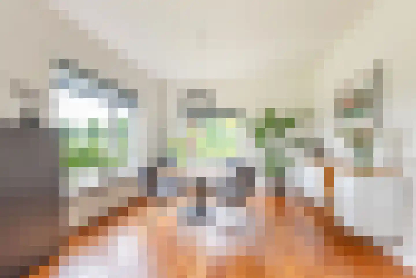 Varsseveldseweg 19 Terborg thumbnail 12