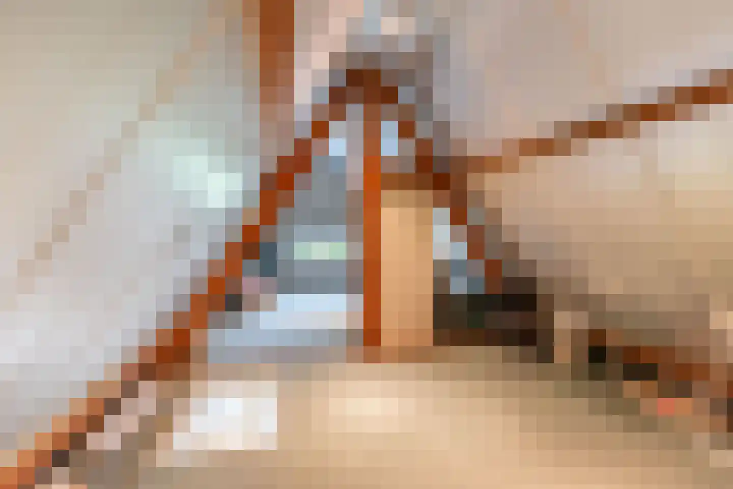 Varsseveldseweg 19 Terborg thumbnail 33