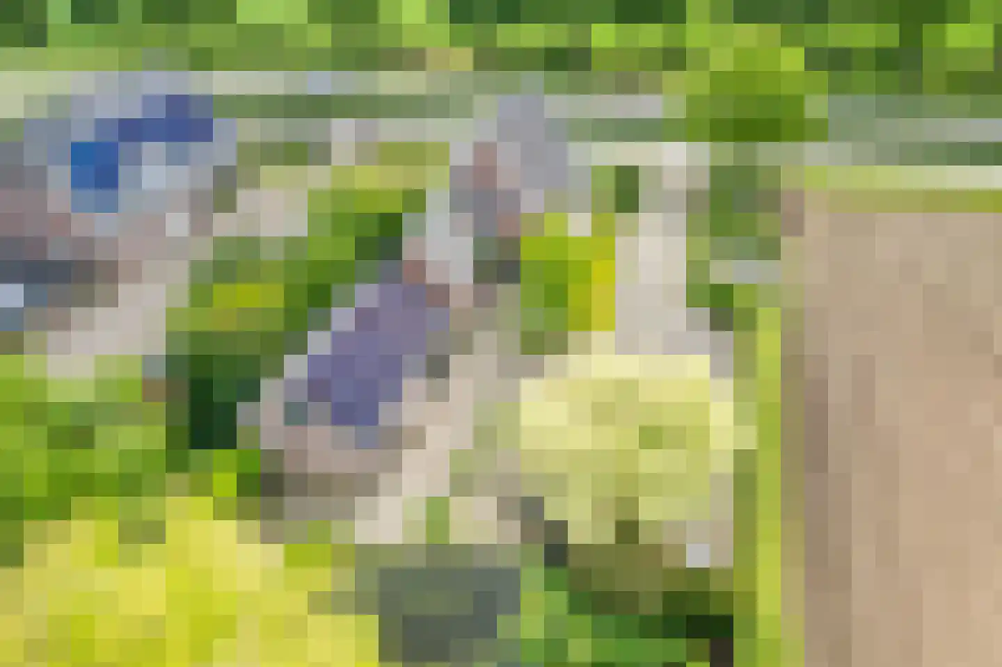 Varsseveldseweg 19 Terborg thumbnail 34
