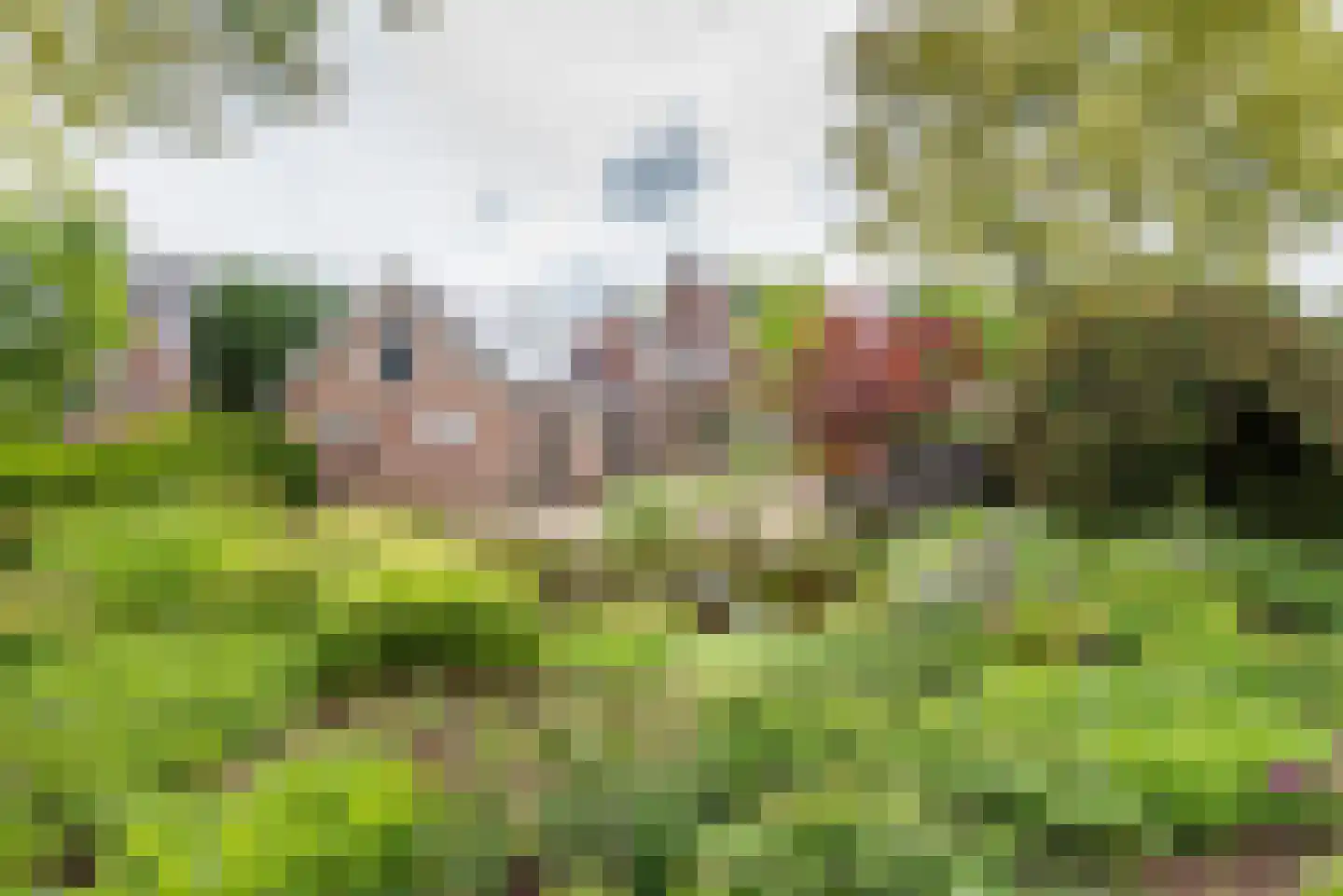Varsseveldseweg 19 Terborg thumbnail 35