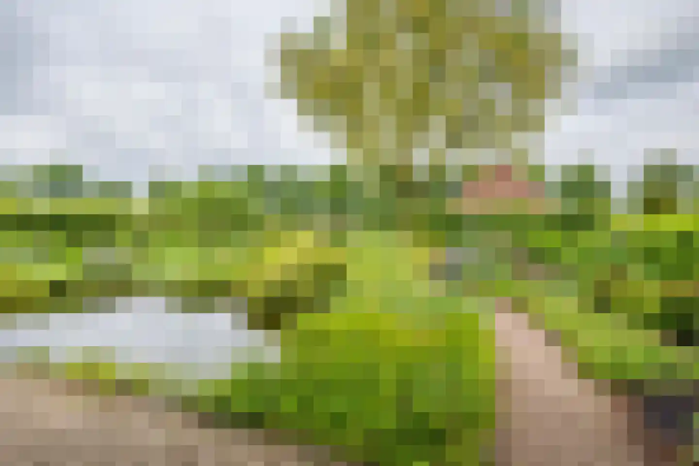 Varsseveldseweg 19 Terborg thumbnail 36