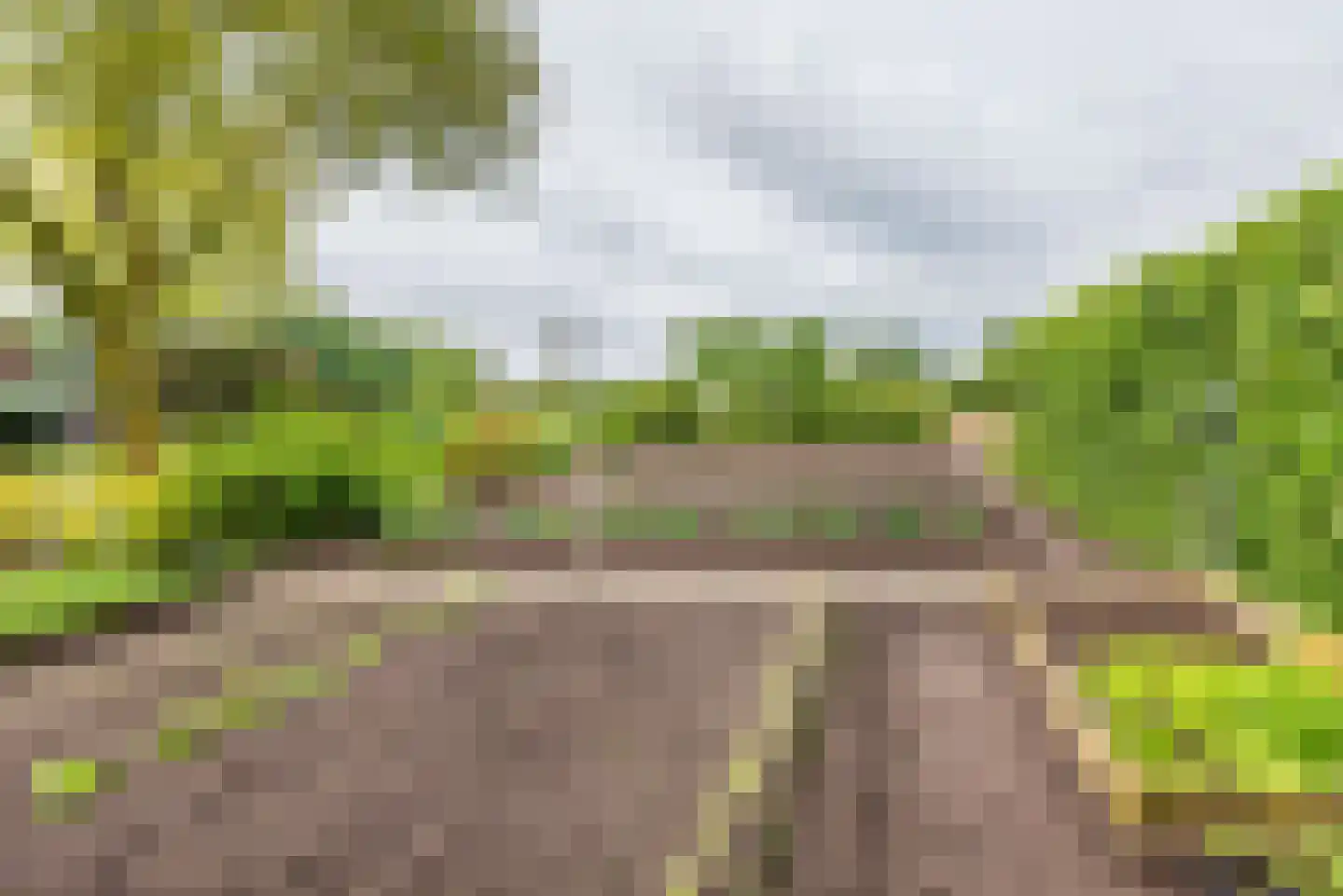 Varsseveldseweg 19 Terborg thumbnail 37