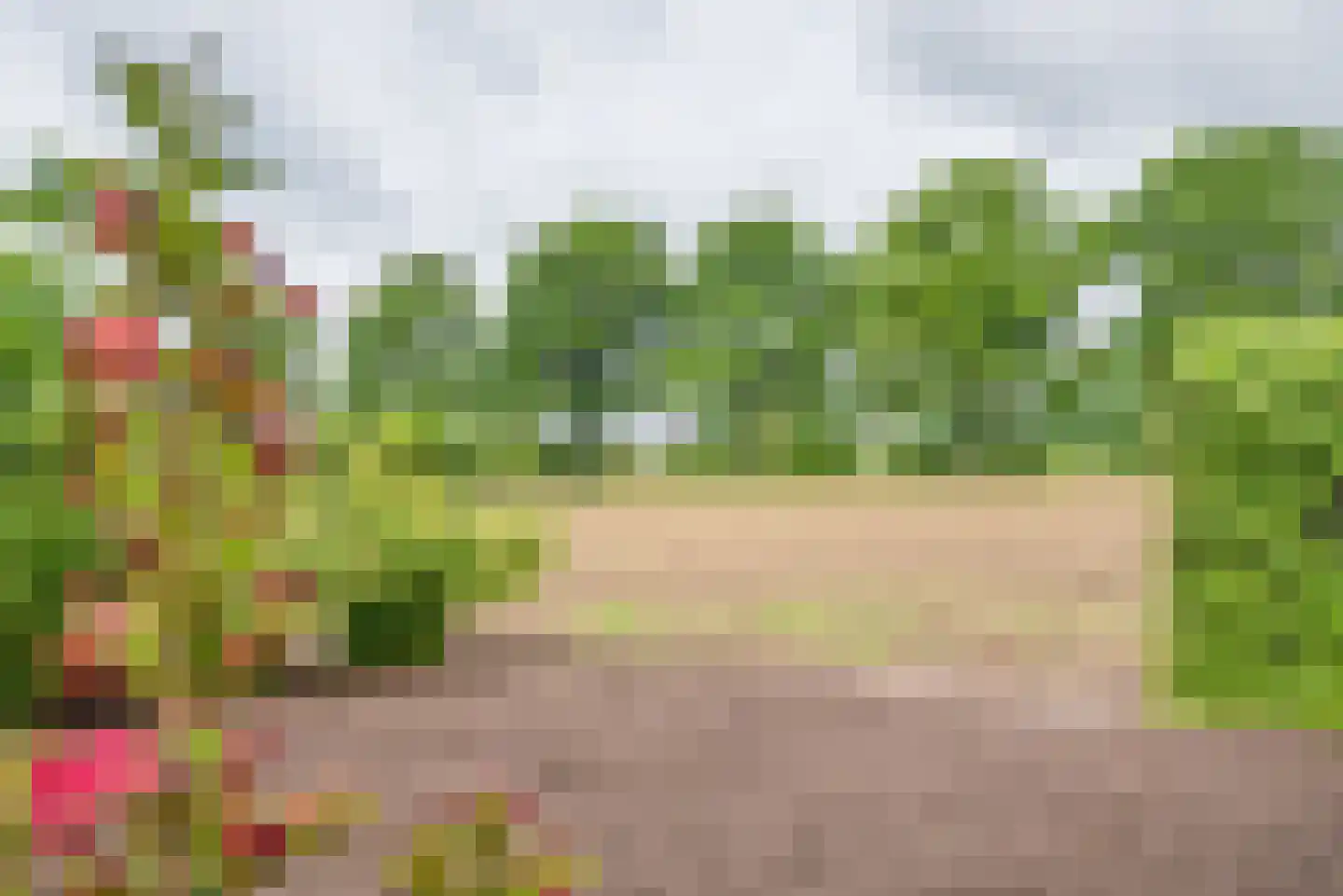 Varsseveldseweg 19 Terborg thumbnail 38