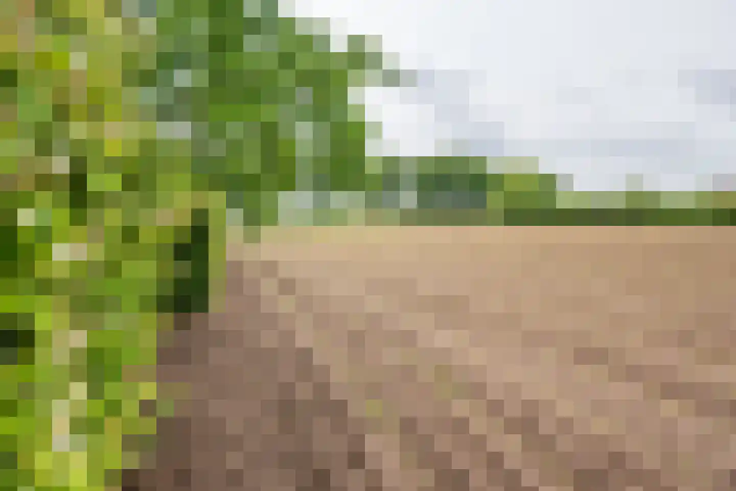 Varsseveldseweg 19 Terborg thumbnail 39