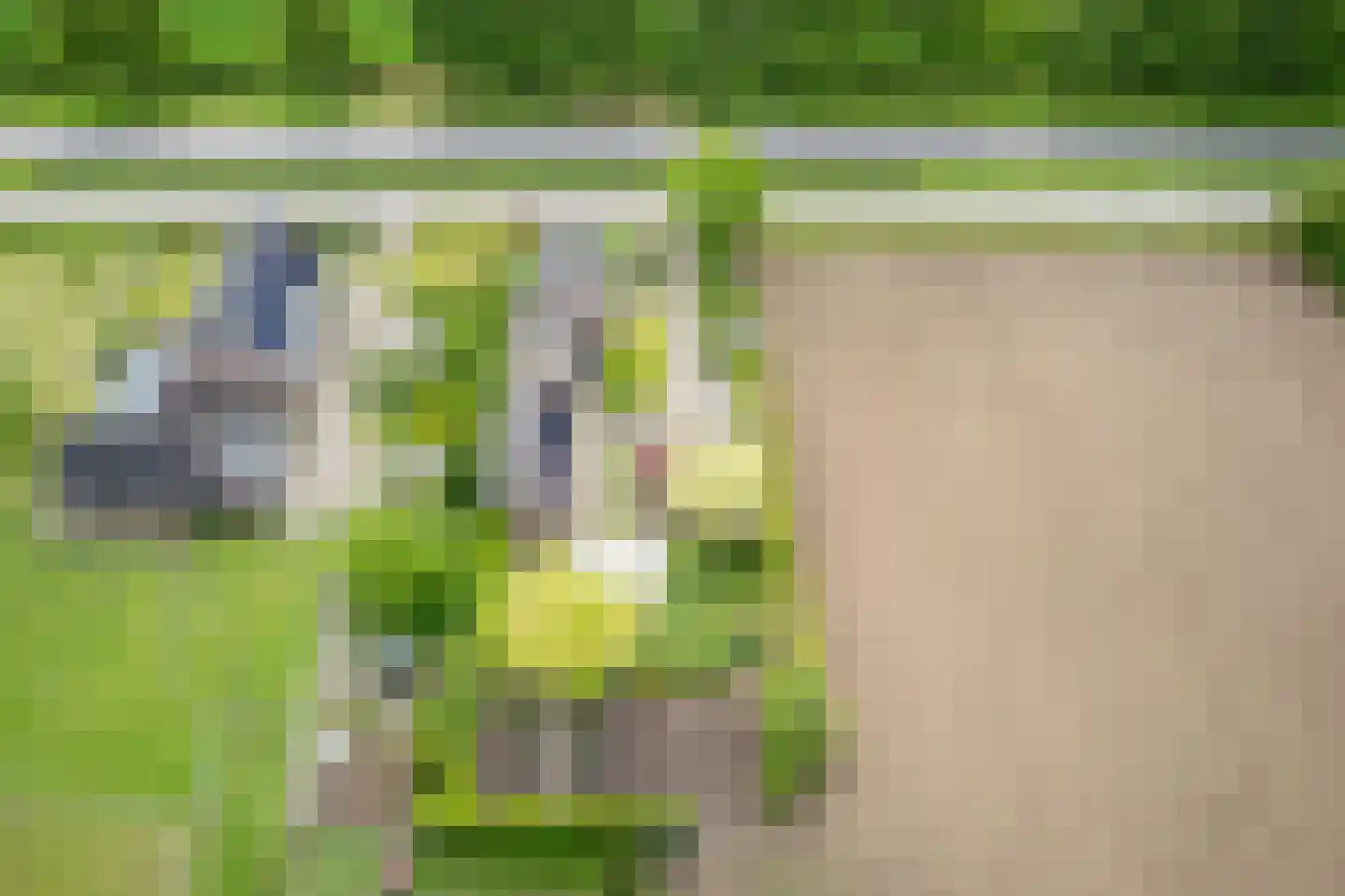 Varsseveldseweg 19 Terborg thumbnail 4