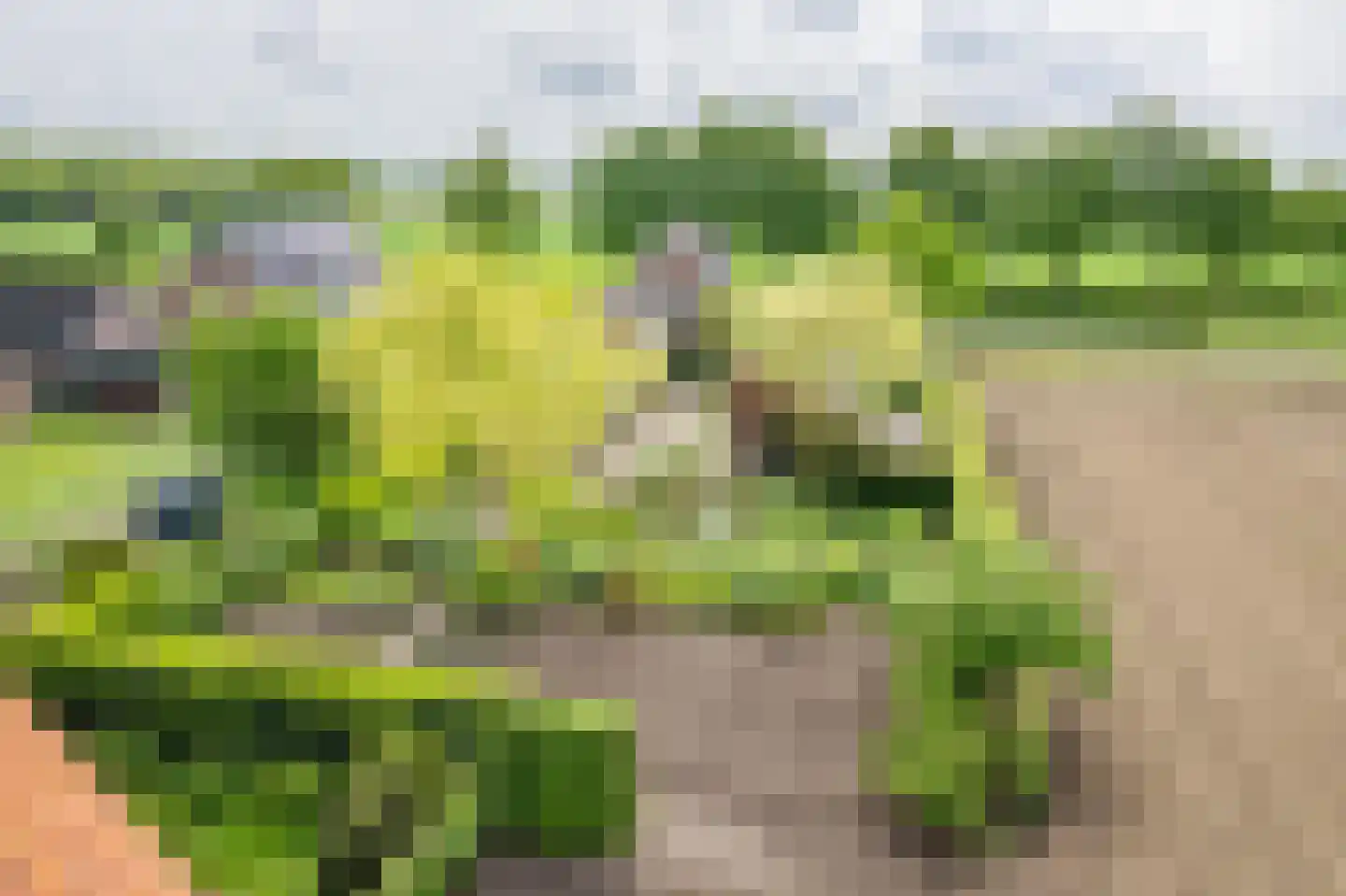 Varsseveldseweg 19 Terborg thumbnail 40