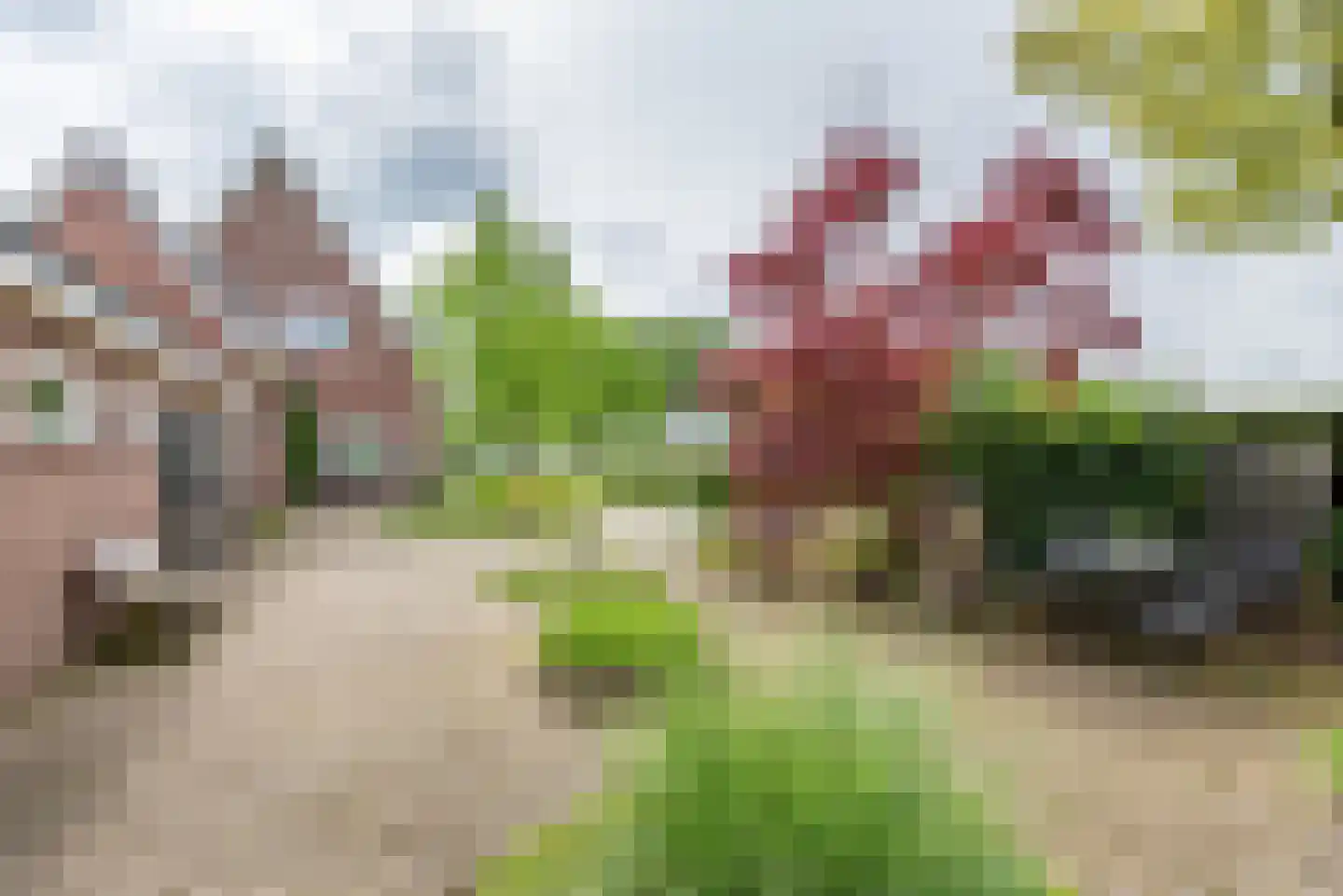 Varsseveldseweg 19 Terborg thumbnail 41