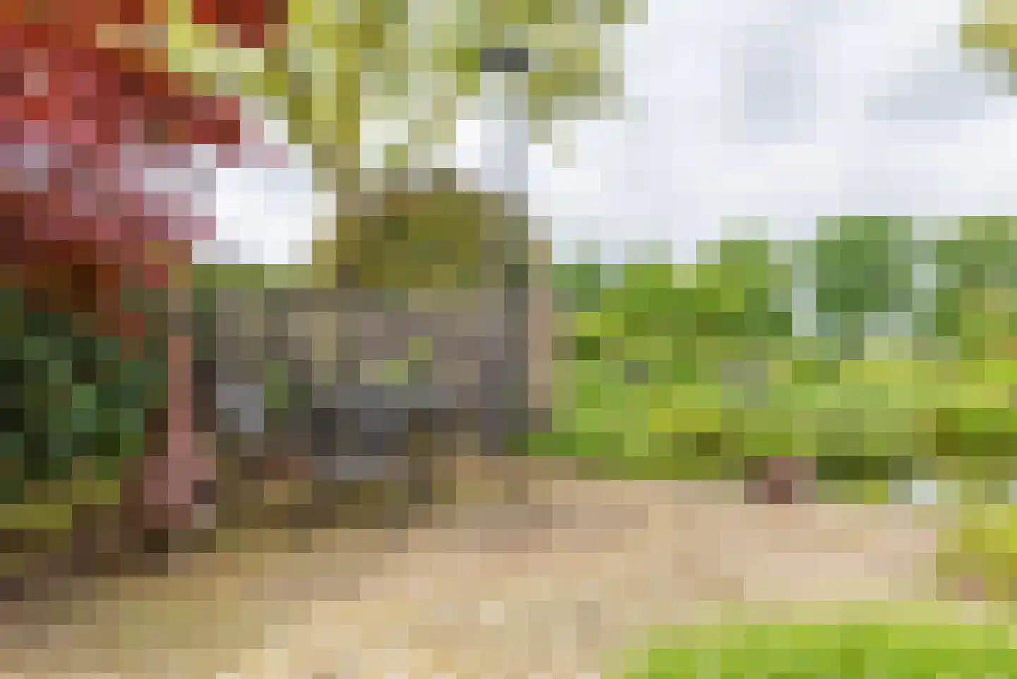 Varsseveldseweg 19 Terborg thumbnail 42