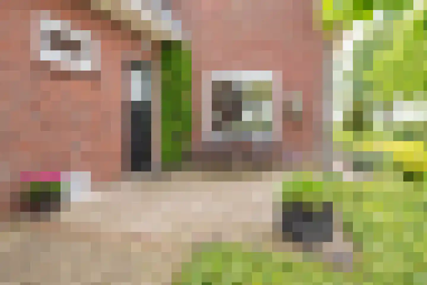 Varsseveldseweg 19 Terborg thumbnail 43