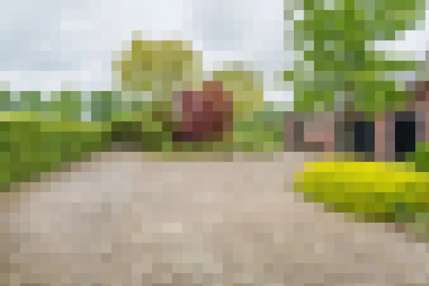 Varsseveldseweg 19 Terborg thumbnail 44