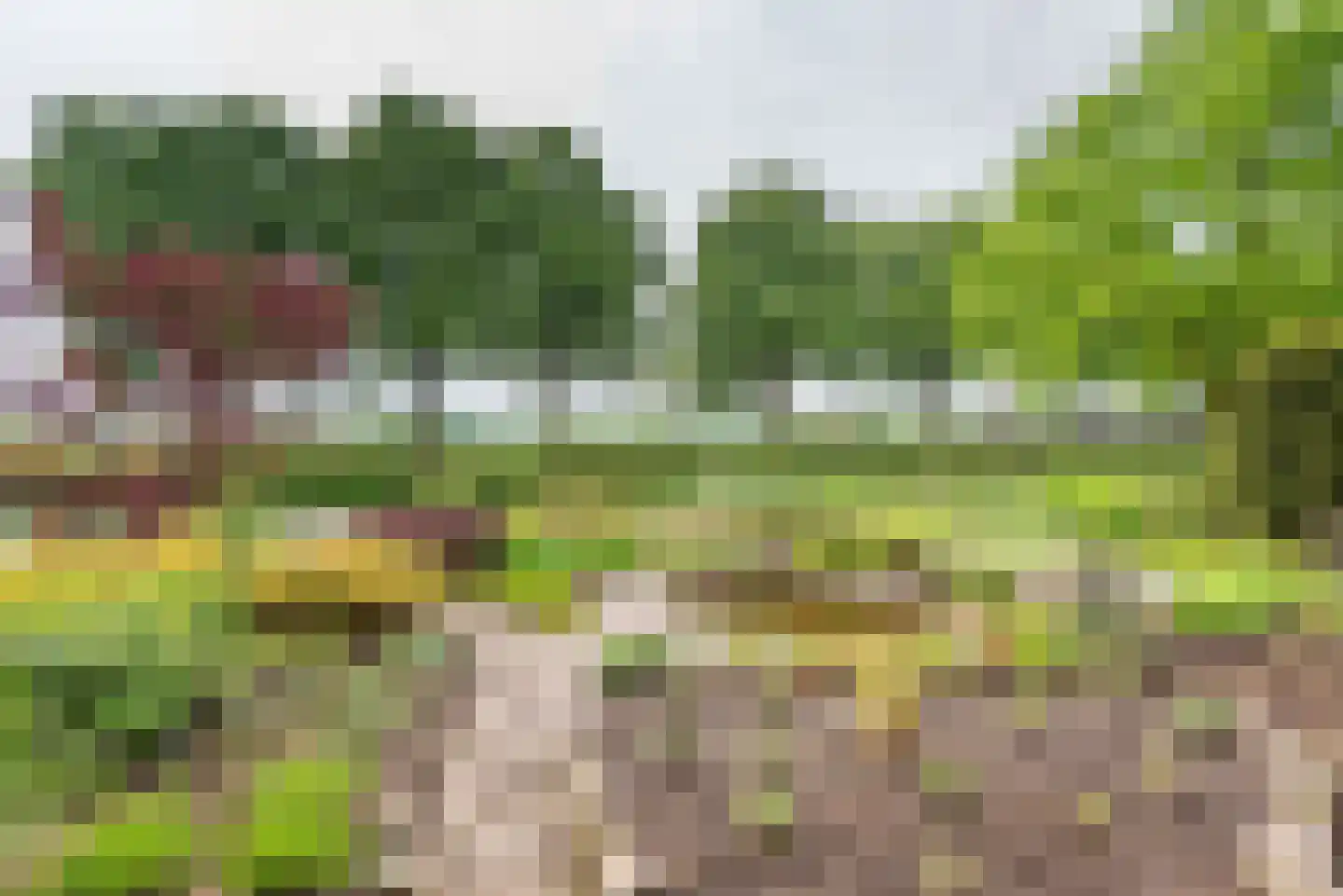 Varsseveldseweg 19 Terborg thumbnail 46