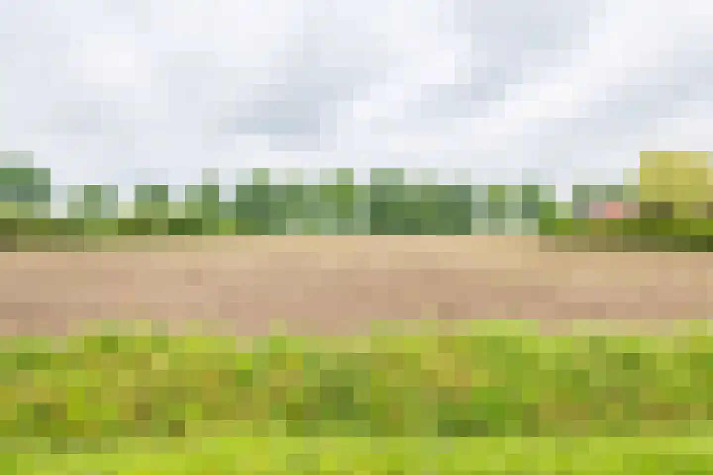 Varsseveldseweg 19 Terborg thumbnail 51