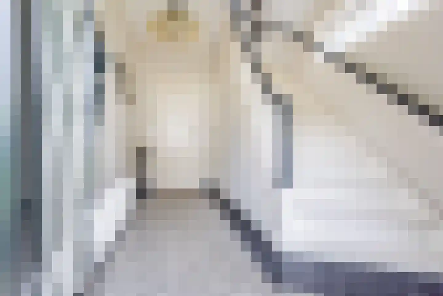 Varsseveldseweg 19 Terborg thumbnail 8