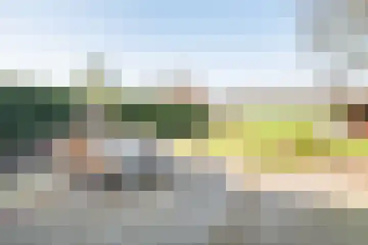 Varsseveldseweg 23 Terborg thumbnail 43