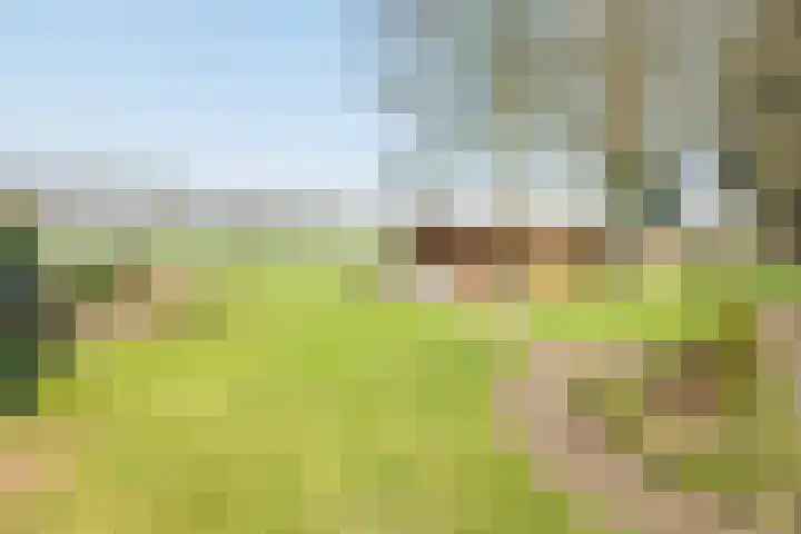 Varsseveldseweg 23 Terborg thumbnail 44