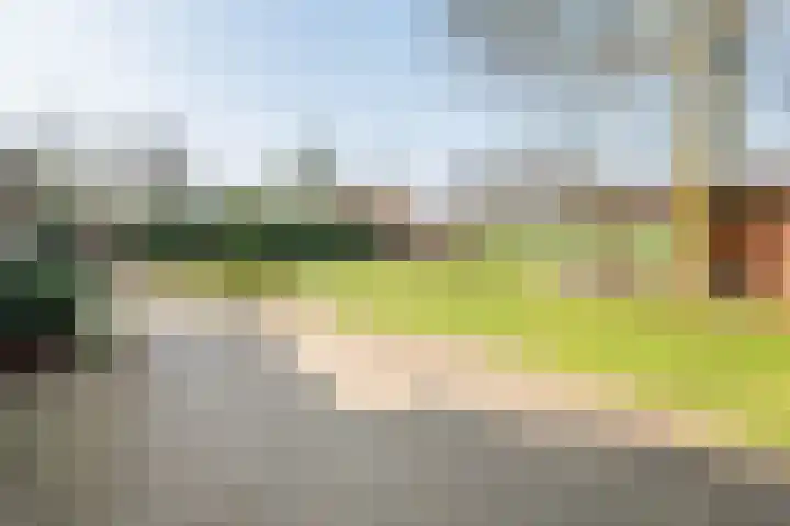 Varsseveldseweg 23 Terborg thumbnail 46