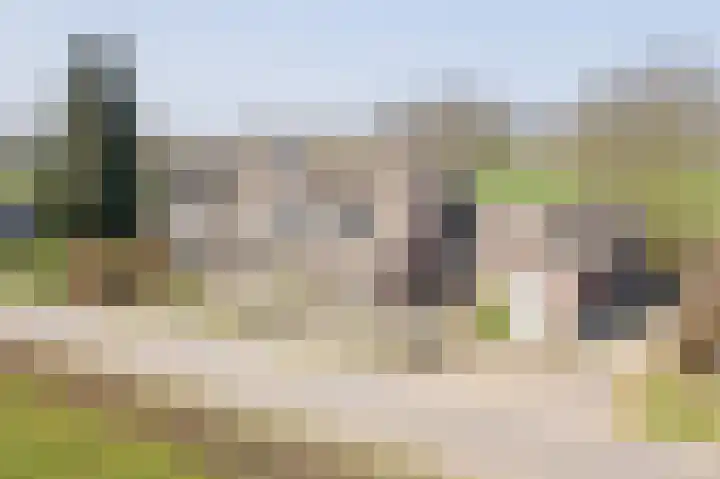 Varsseveldseweg 23 Terborg thumbnail 5