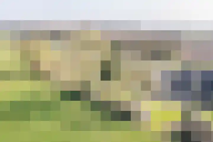 Varsseveldseweg 23 Terborg thumbnail 51