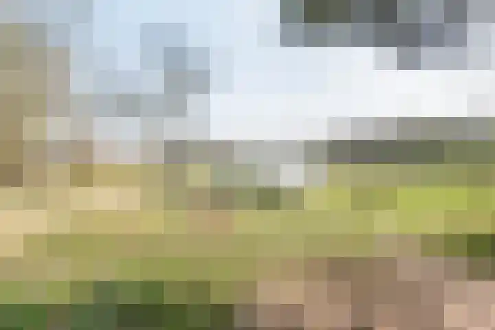 Varsseveldseweg 23 Terborg thumbnail 52