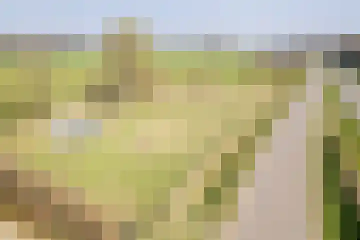 Varsseveldseweg 23 Terborg thumbnail 53
