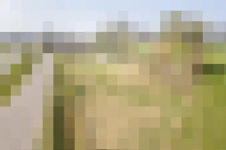 Varsseveldseweg 23 Terborg thumbnail 54