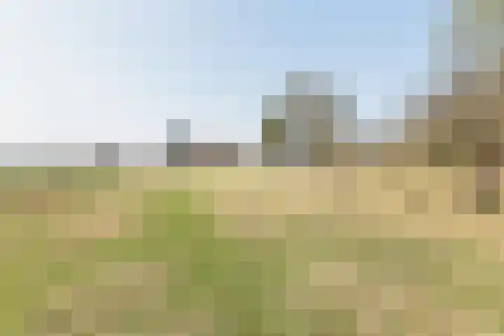 Varsseveldseweg 23 Terborg thumbnail 55
