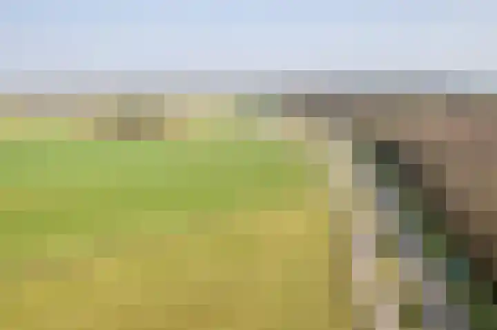 Varsseveldseweg 23 Terborg thumbnail 59