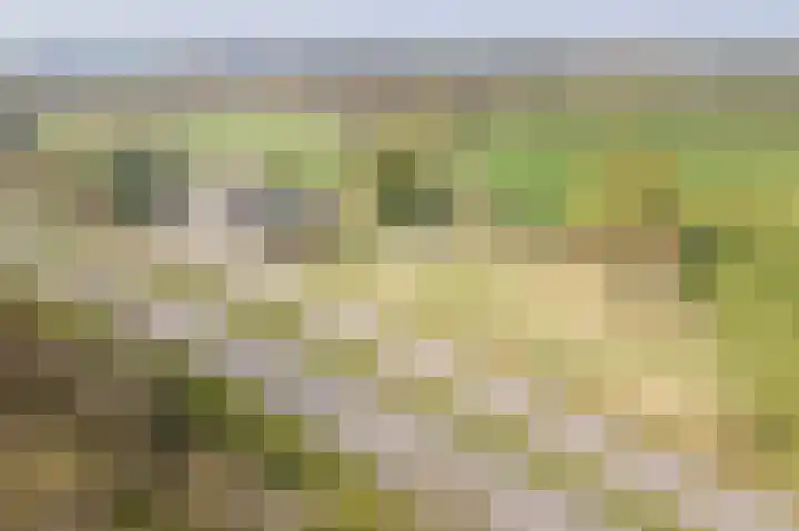 Varsseveldseweg 23 Terborg thumbnail 6