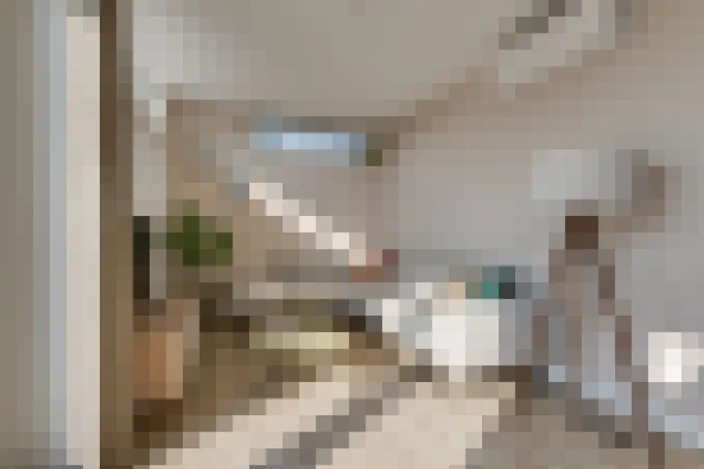 Varsseveldseweg 25 i Lichtenvoorde thumbnail 19