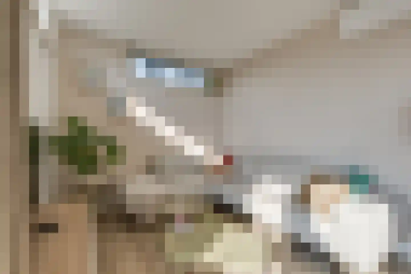 Varsseveldseweg 25 i Lichtenvoorde thumbnail 20